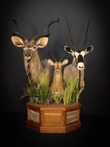 Pedestal mount with African game trophies and grass habitat detail